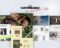Showit Canvas Kit - Image 4